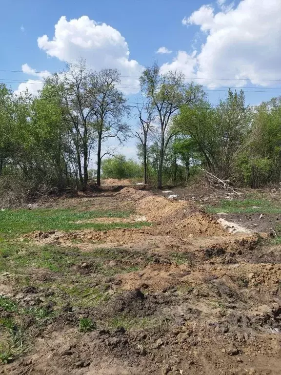 Участок в Воронежская область, Рамонский район, Горожанское с/пос, с. ... - Фото 1