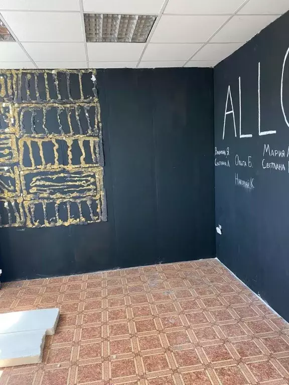 Помещение свободного назначения в Новосибирская область, Новосибирск ... - Фото 1