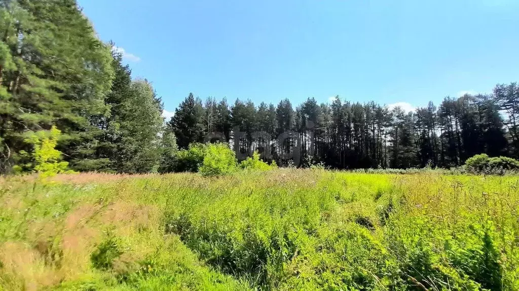 Участок в Кировская область, Киров городской округ, с. Бахта  (6.8 ... - Фото 0