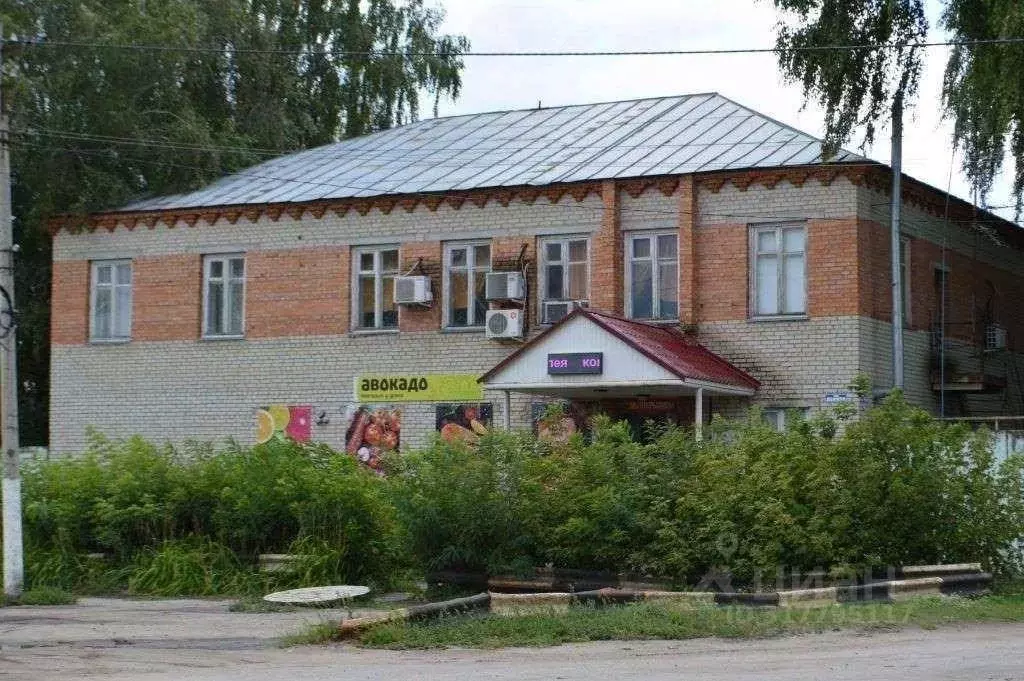 Помещение свободного назначения в Пензенская область, Белинский ул. ... - Фото 1