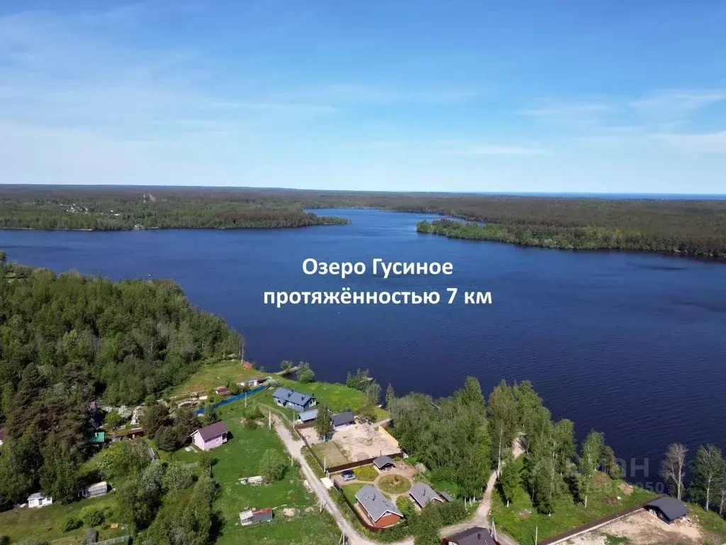 Участок в Ленинградская область, Приозерский район, Громовское с/пос, ... - Фото 0
