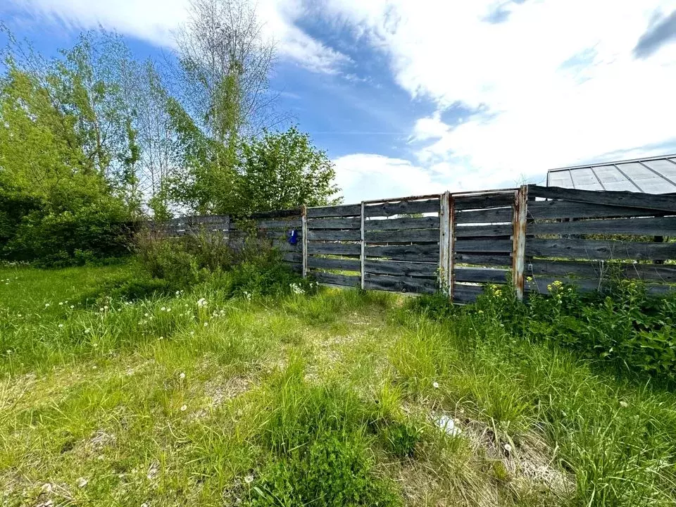 Участок в Тверская область, Конаковский муниципальный округ, д. Дорино ... - Фото 1