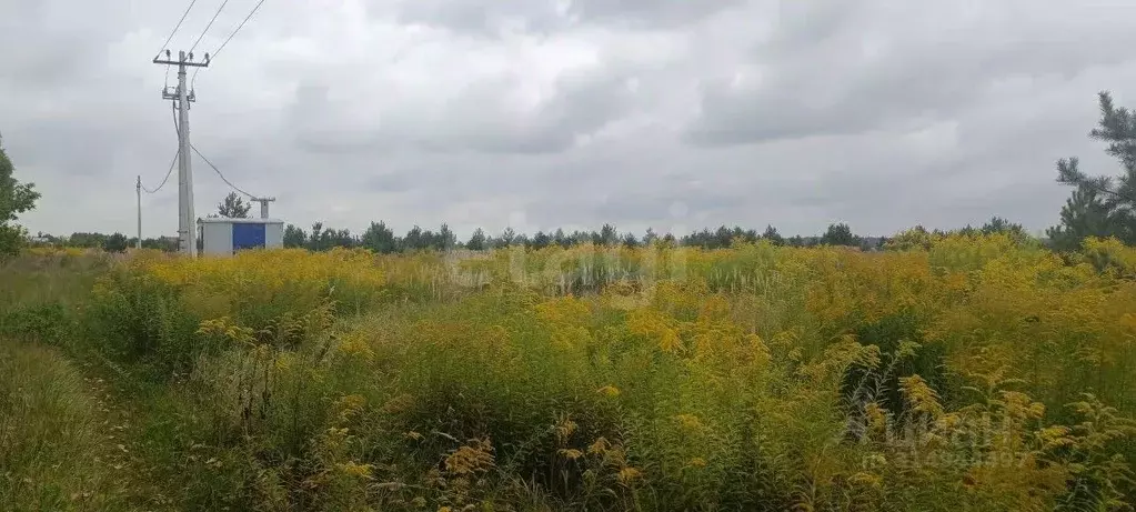 Участок в Брянская область, Карачев Западный мкр,  (1193.0 сот.) - Фото 2