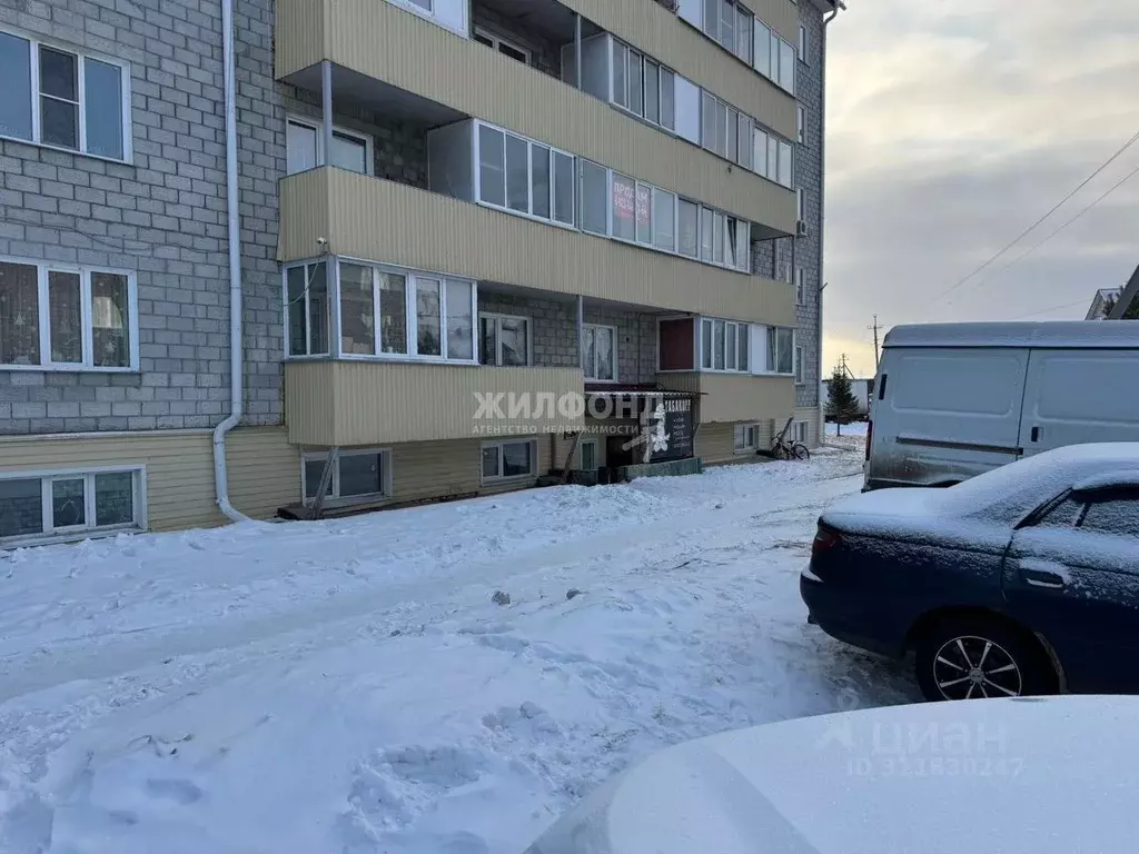 Помещение свободного назначения в Новосибирская область, Мошковский ... - Фото 1