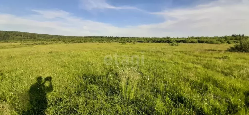 Купить Участок В Осиновой Речке Хаб Района