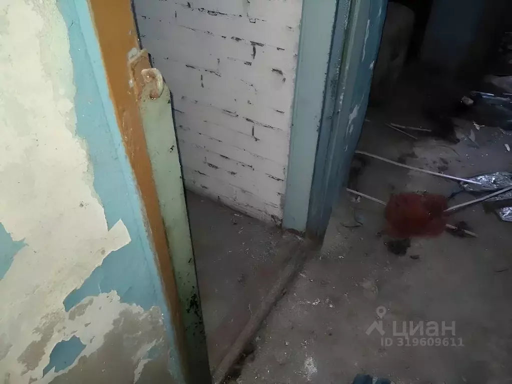 Производственное помещение в Новосибирская область, Тогучинский район, ... - Фото 0