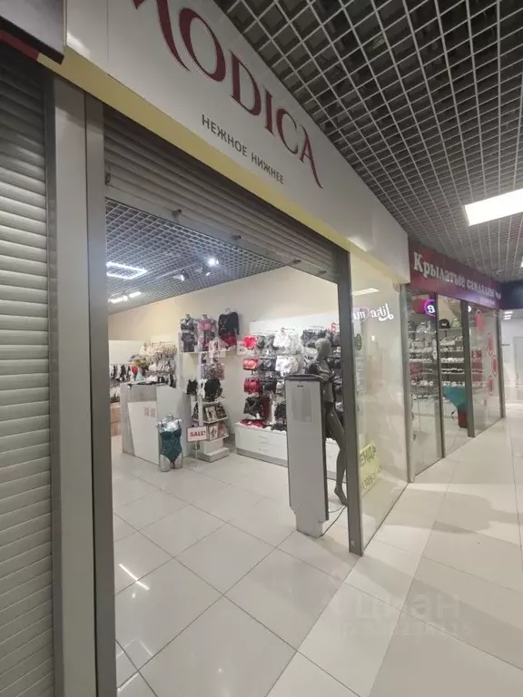 Помещение свободного назначения в Воронежская область, Воронеж ул. ... - Фото 2