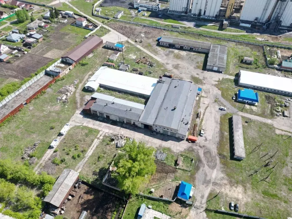 Помещение свободного назначения в Новосибирская область, Коченевский ... - Фото 0