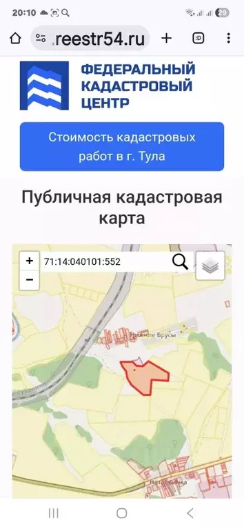 Участок в Тульская область, Тула городской округ, д. Нижние Брусы  ... - Фото 2