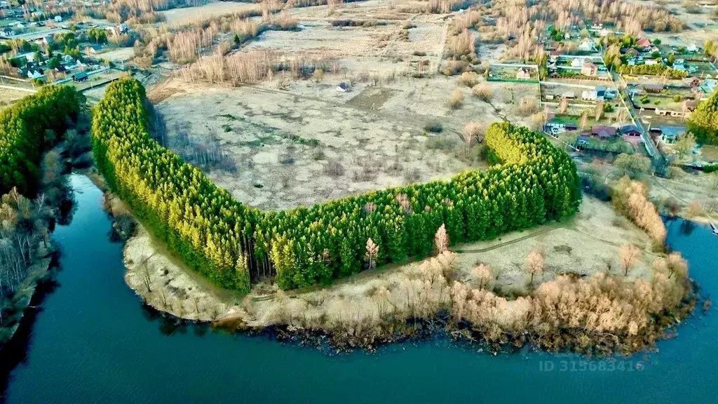 Участок, 600 сот., сельхоз (снт или днп) - Фото 1