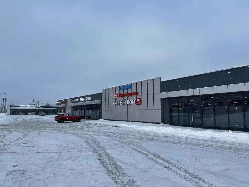 Торговая площадь в Московская область, Истра муниципальный округ, д. ... - Фото 2