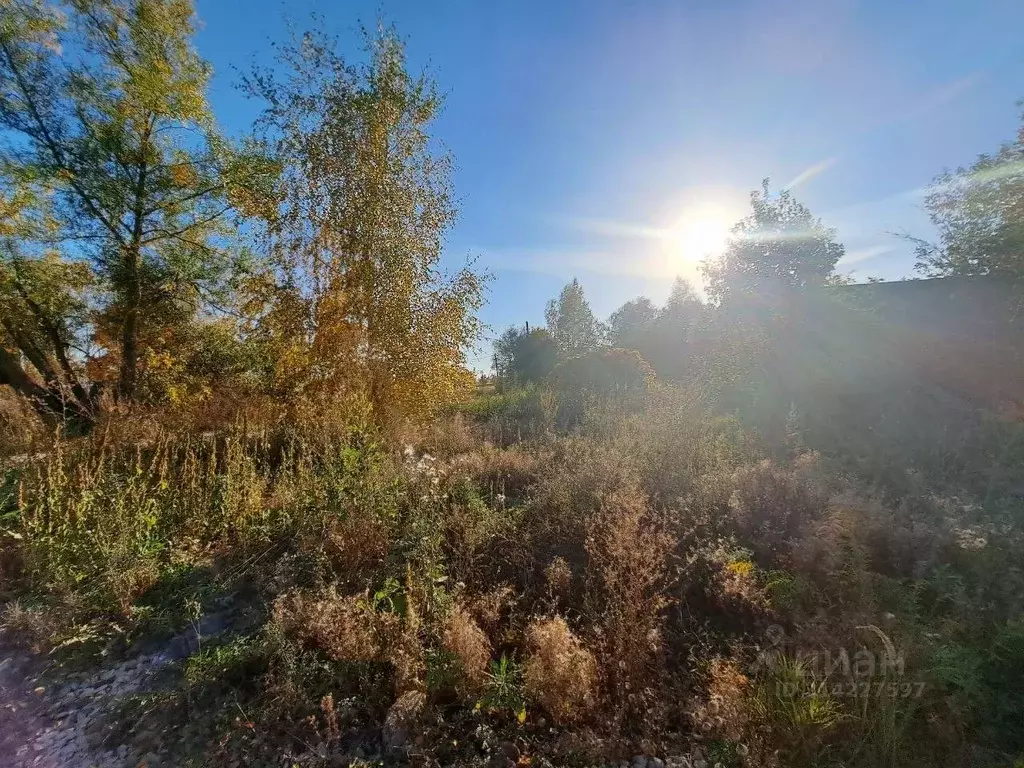 Участок в Московская область, Кашира городской округ, д. Никулино  ... - Фото 0