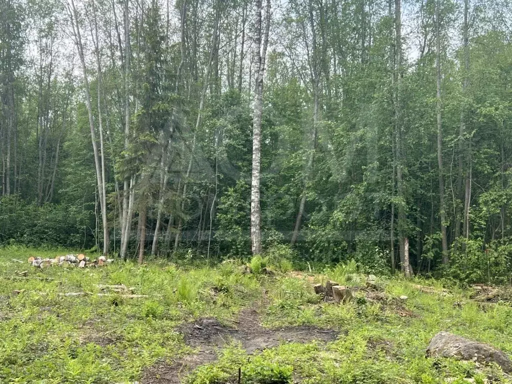 Участок в Ленинградская область, Приозерский район, Ларионовское ... - Фото 0