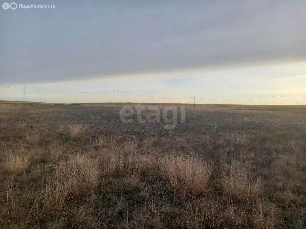 Участок в Батальненское сельское поселение, село Ячменное, улица ... - Фото 1