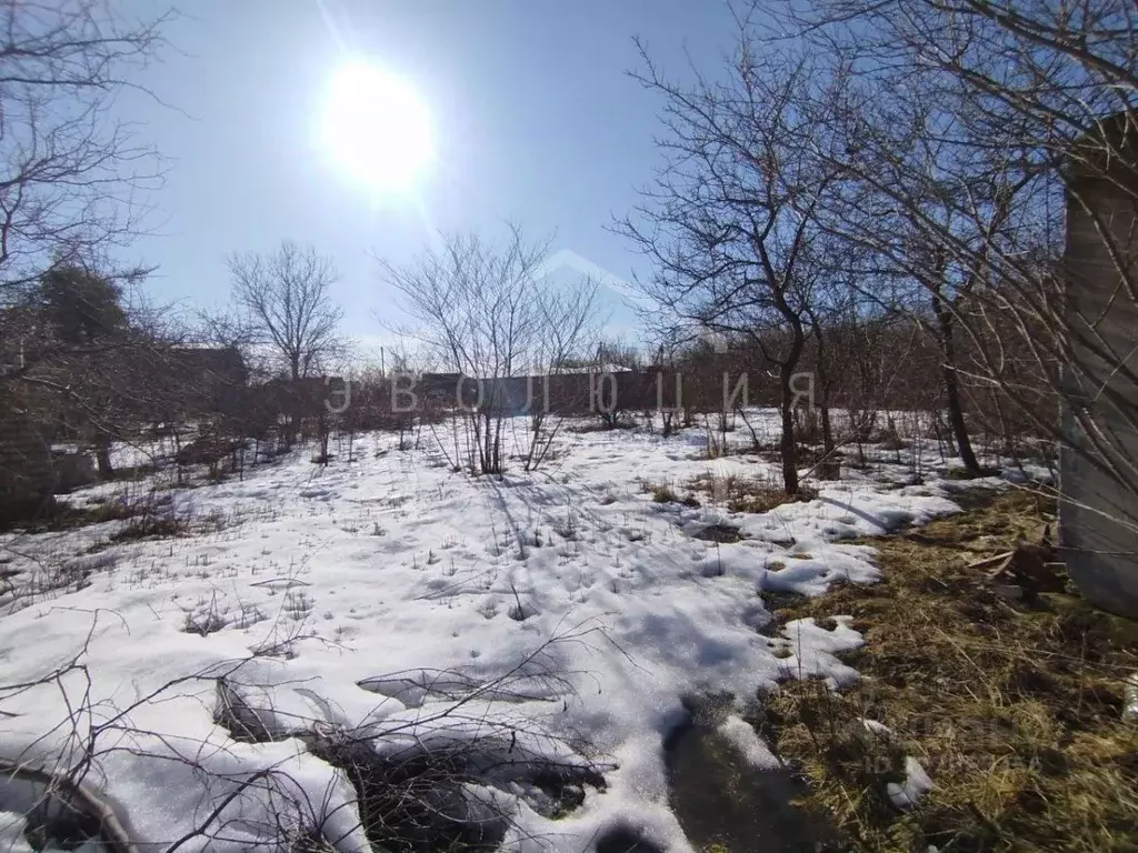 Участок в Калининградская область, Гурьевский муниципальный округ, СНТ ... - Фото 1