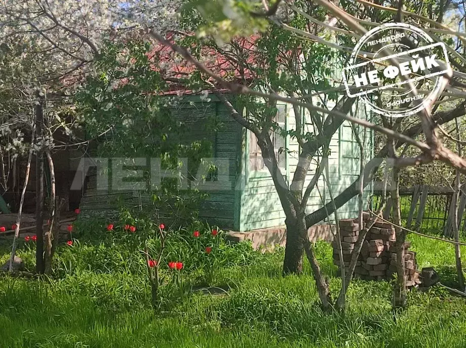 Участок в Ростовская область, Новочеркасск № 15 садовое товарищество, ... - Фото 0