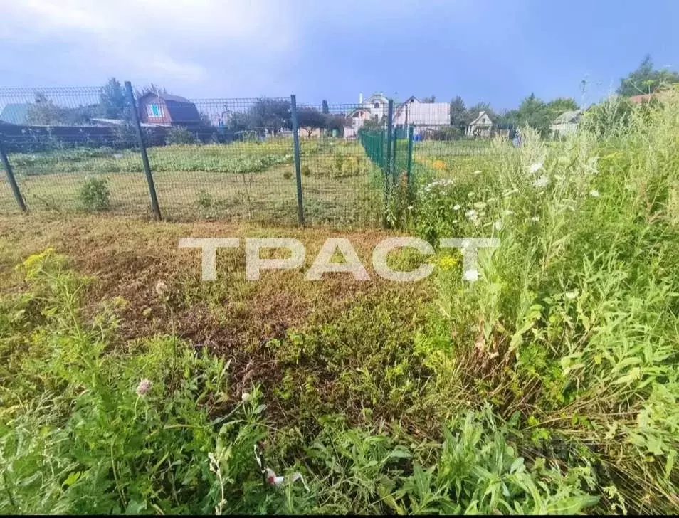 Участок в Воронежская область, Новоусманский район, Усманское 1-е ... - Фото 1