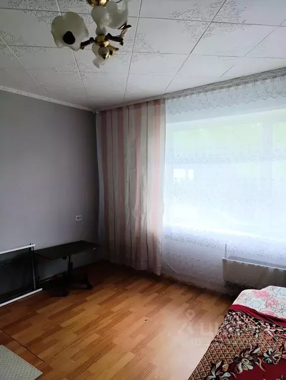 Комната Красноярский край, Красноярск ул. Петрушина, 1 (19.0 м) - Фото 1