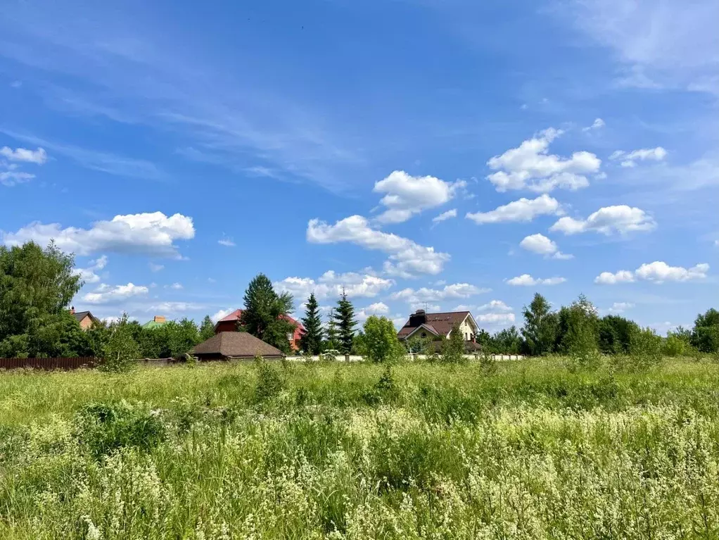 Участок в Московская область, Пушкино Новая Деревня мкр, Колхозная ул. ... - Фото 2