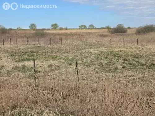 Участок в Калининградская область, Полесский муниципальный округ, ... - Фото 2