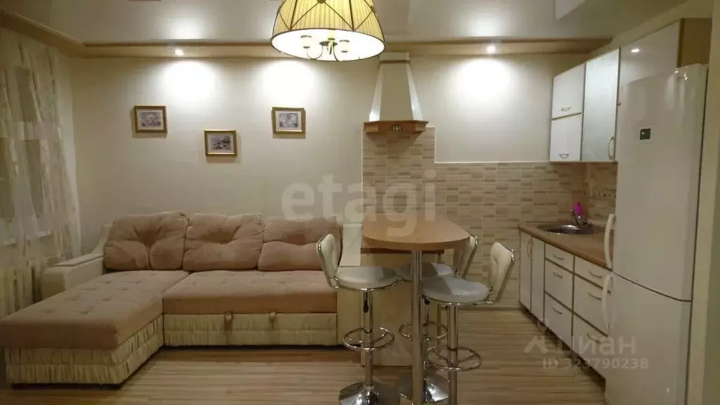 Студия Амурская область, Благовещенск Зейская ул., 285 (33.0 м) - Фото 1