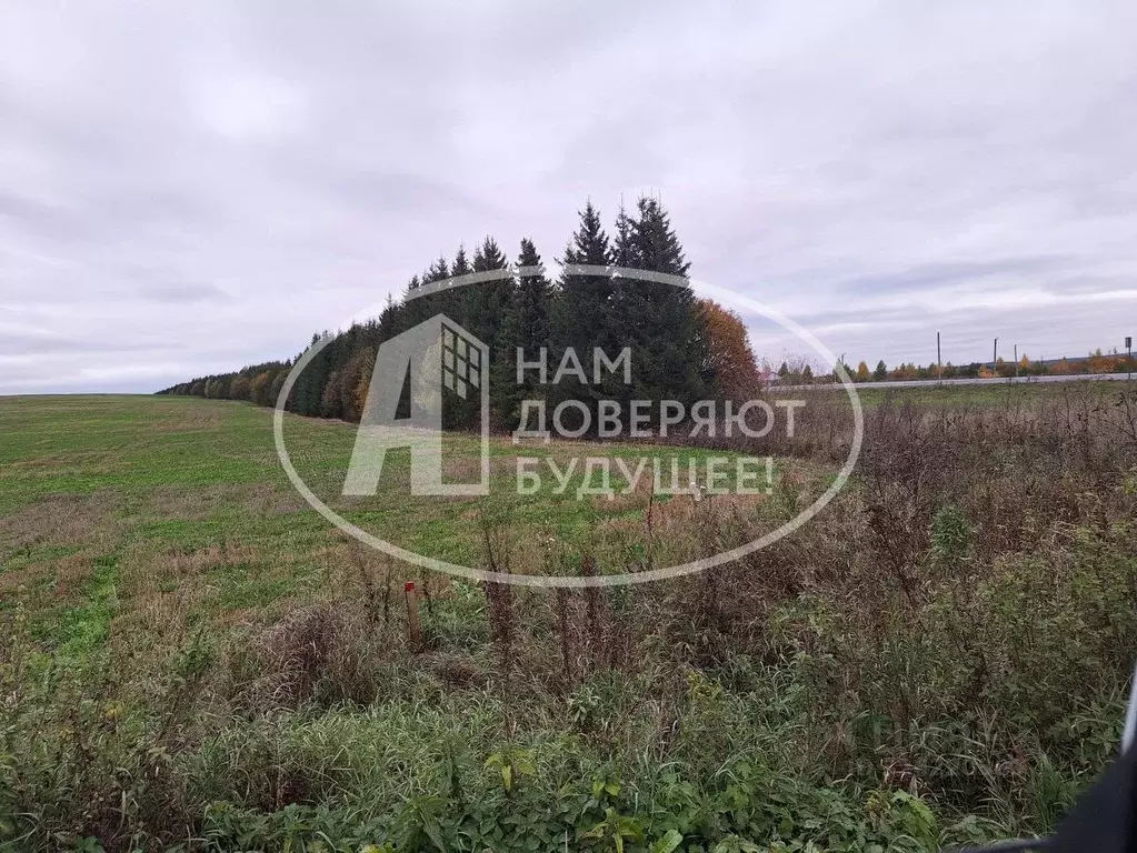 Участок в Пермский край, Кунгурский муниципальный округ, с. Неволино ... - Фото 1