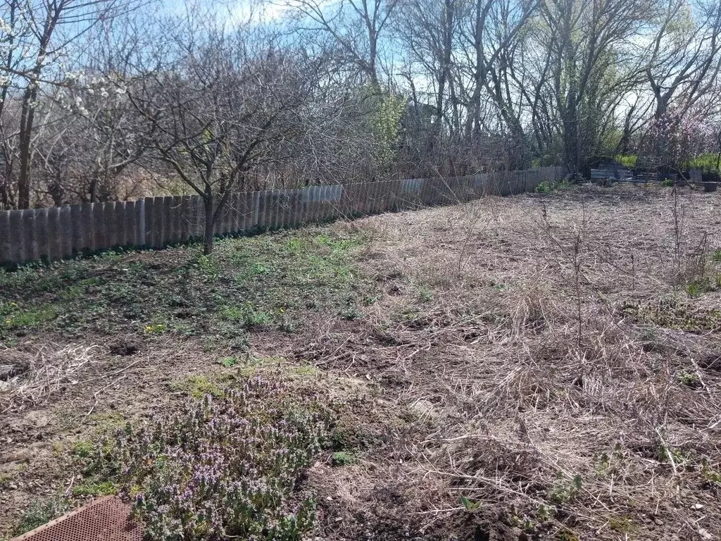 Участок в Краснодарский край, Темрюкский район, Курчанское с/пос, ... - Фото 1