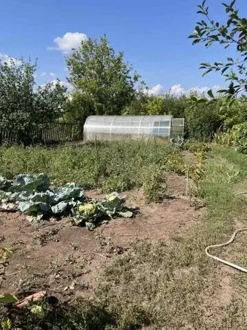 Участок в Самарская область, Волжский район, Воскресенка с/пос, ... - Фото 1