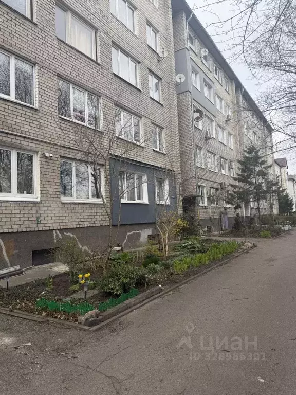 1-к кв. Калининградская область, Калининград ул. Александра Невского, ... - Фото 2