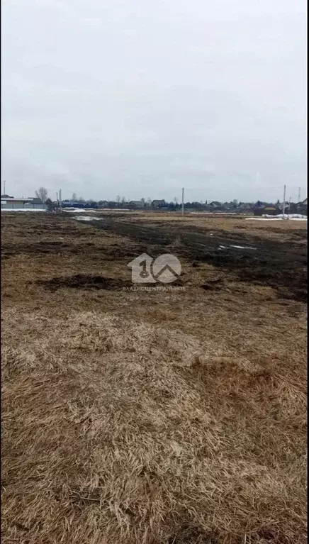 Участок в Новосибирская область, Новосибирский район, Морской ... - Фото 1