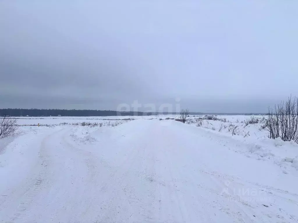 Участок в Кировская область, Слободской район, Шиховское с/пос, д. ... - Фото 0