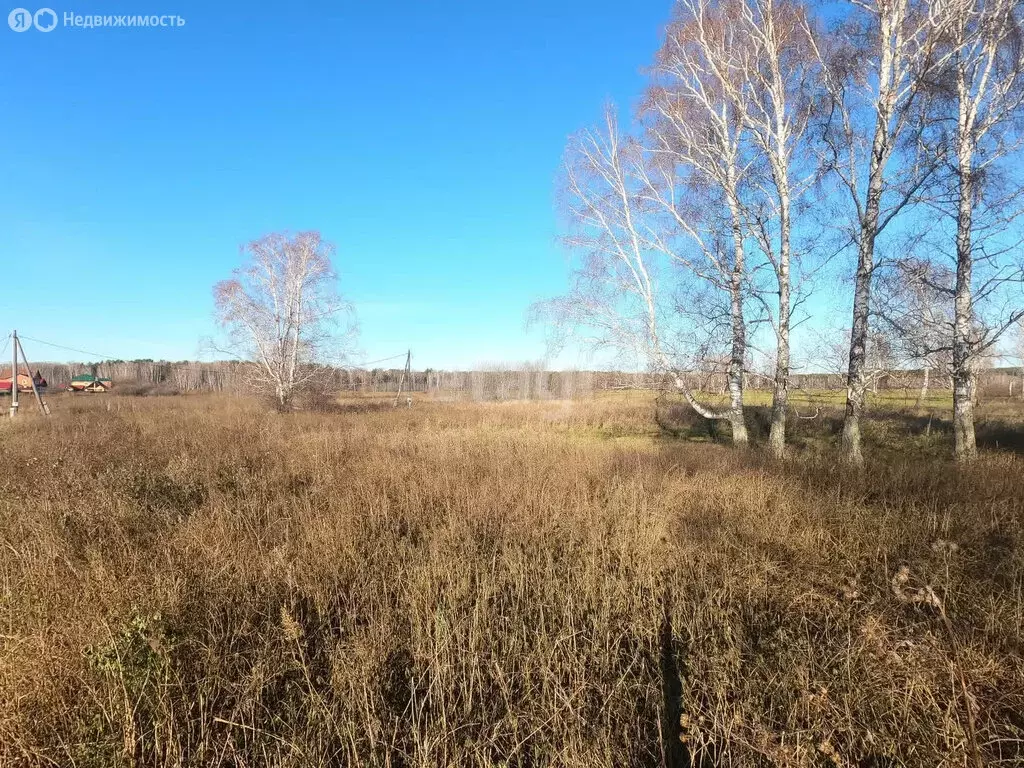 Участок в Томский район, село Курлек (0.1 м) - Фото 0