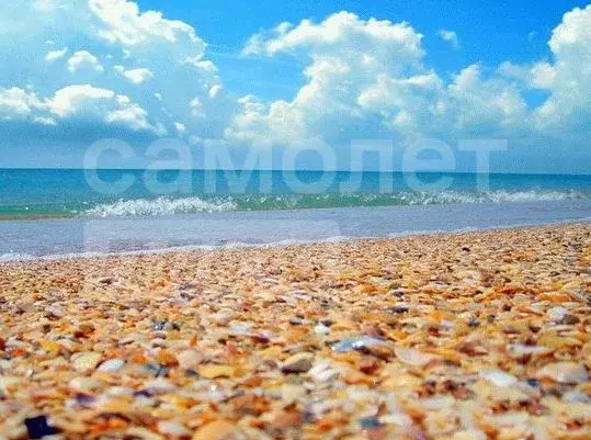 Участок в Крым, Сакский район, Молочненское с/пос, с. Витино  (5.0 ... - Фото 1