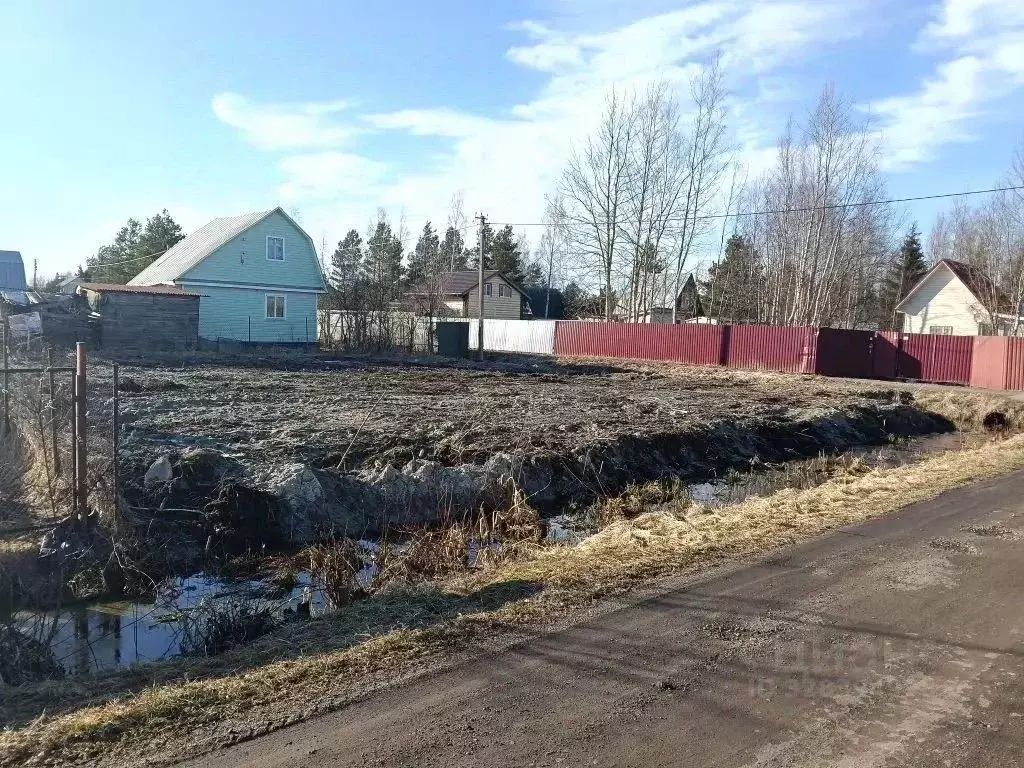 Участок в Ленинградская область, Тосненский район, Форносовское ... - Фото 1
