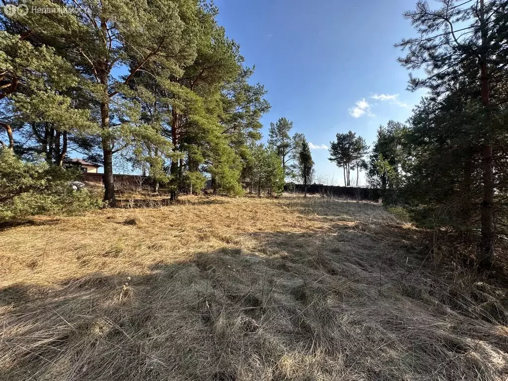 Участок в Псковская область, Печорский муниципальный округ, деревня ... - Фото 1