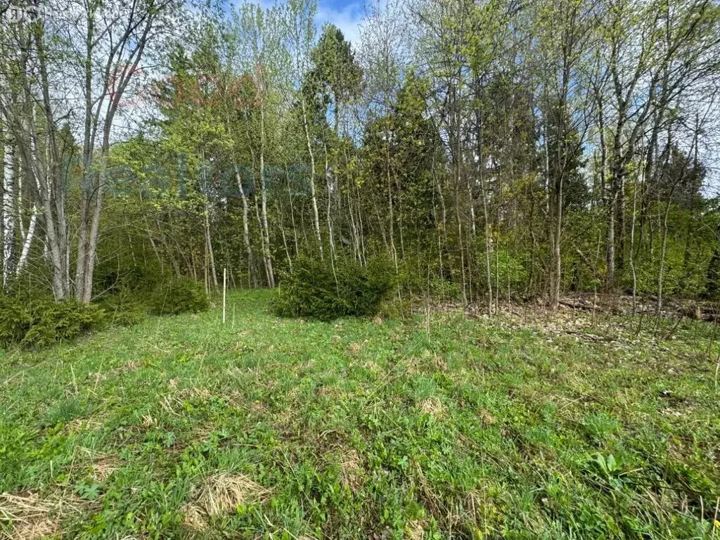 Участок в Московская область, Рузский муниципальный округ, деревня ... - Фото 1