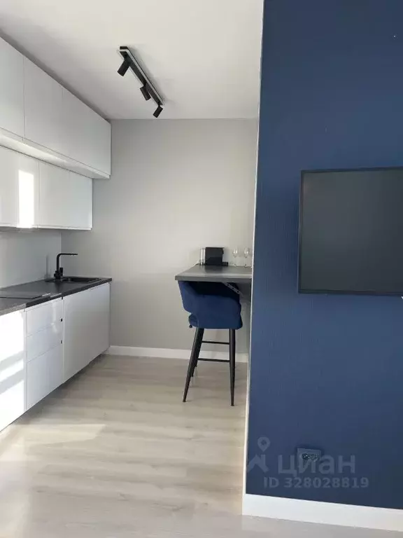 Студия Санкт-Петербург Уральская ул., 21 (25.0 м) - Фото 2