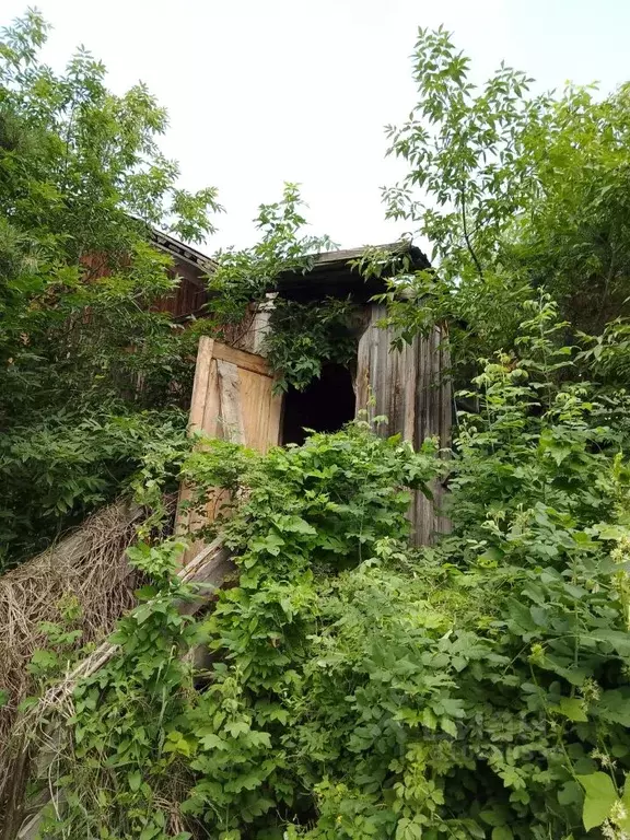 Свободной планировки кв. Новосибирская область, Ордынский район, с. ... - Фото 0