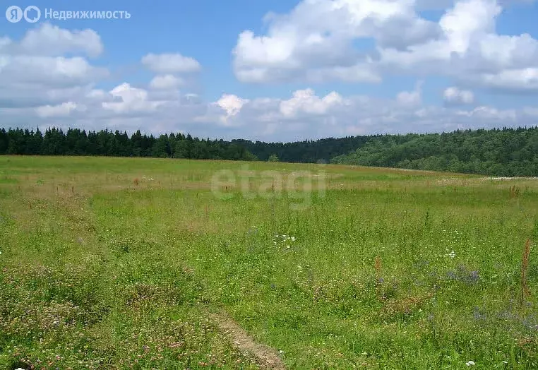 Участок в Станционный сельсовет, ДНП Лесные Дачи, Грибная улица (744 ... - Фото 1