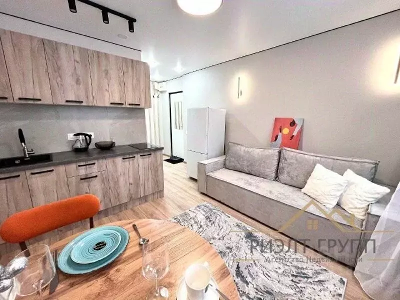 Студия Татарстан, Казань Молодежная ул., 10А (22.0 м) - Фото 1