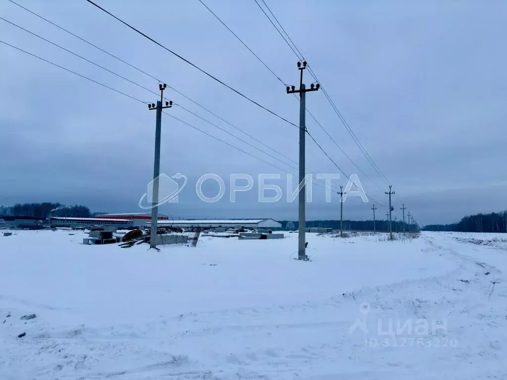 Участок в Тюменская область, Тюменский район, с. Горьковка Сибирская ... - Фото 0