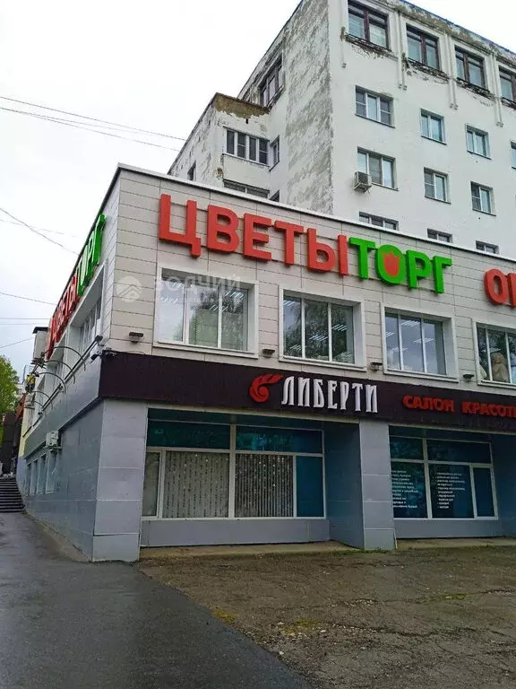 Помещение свободного назначения (255 м) - Фото 1