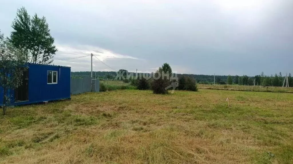 Участок в Новосибирская область, Новосибирский район, с. Кубовая  ... - Фото 0