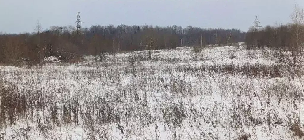 Участок в Вологодская область, Шексна рп ул. Беговая (15.0 сот.) - Фото 1