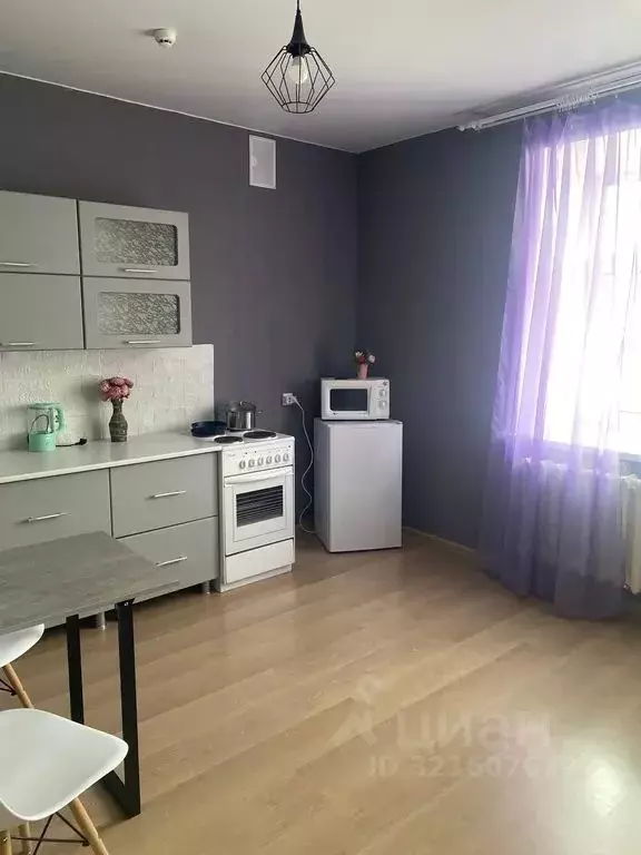 Студия Тюменская область, Ишим ул. Чкалова, 20 (30.0 м) - Фото 2