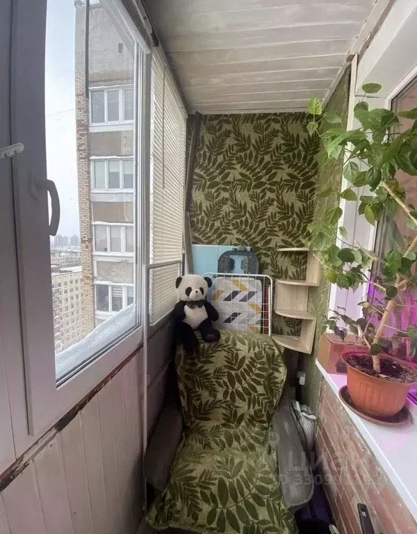 Комната Санкт-Петербург просп. Энгельса, 149К3 - Фото 2