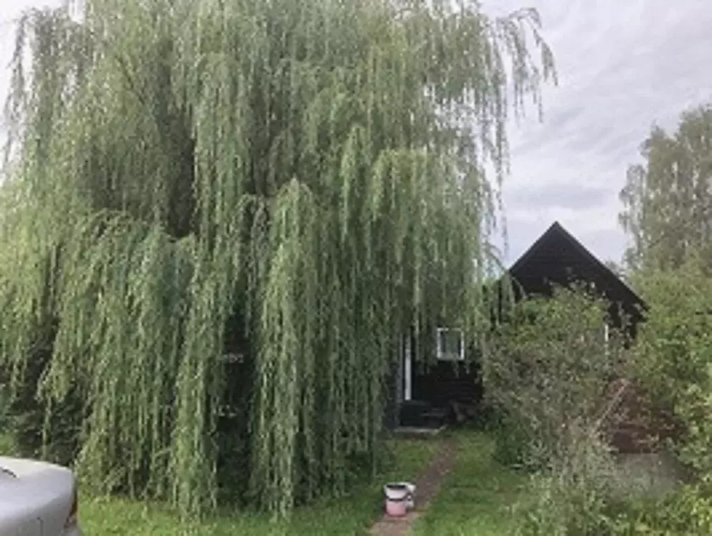 Дом в Московская область, Щелково городской округ, д. Мишнево, ... - Фото 0