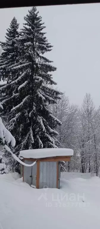 Участок в Карелия, Сортавальский муниципальный округ, пос. Мейери  ... - Фото 2