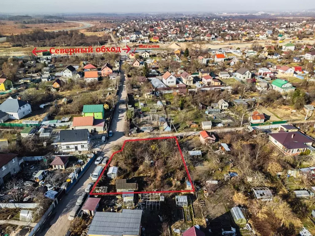 Участок в Калининградская область, Калининград Утро СНТ, ул. Сельская, ... - Фото 2