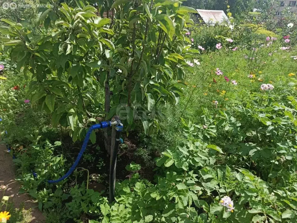 Участок в Челябинская область, Ашинский муниципальный округ, посёлок ... - Фото 2